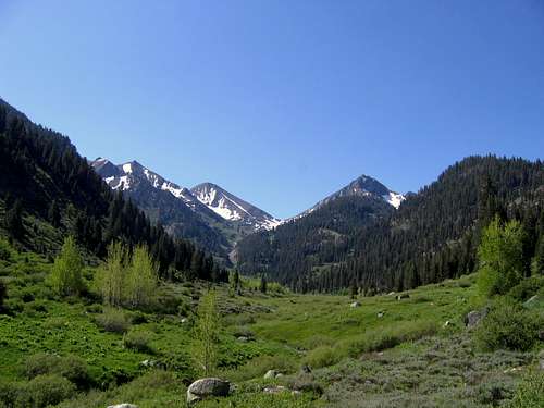 Mineral King Valley