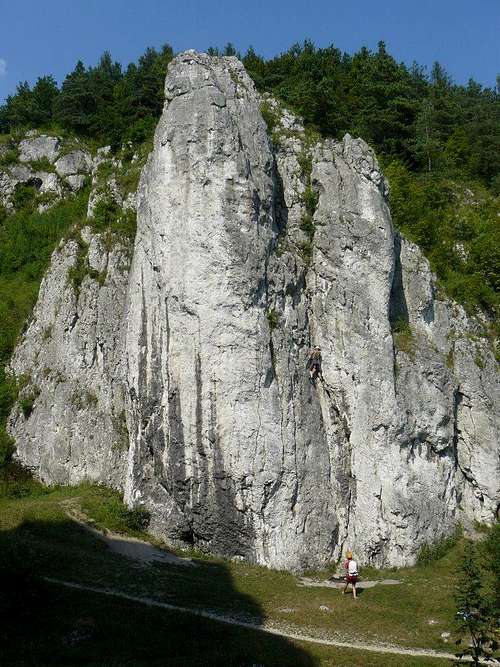 Bolechowice (komin Wallischa-Filar Abazego)