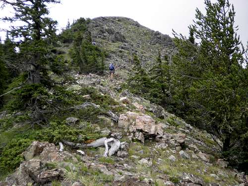 Mount Zwischen Summit