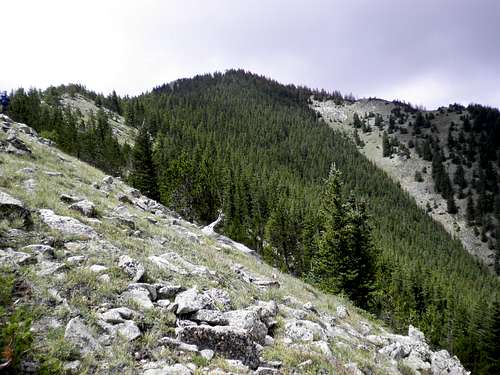 North ridge of Mount Zwischen