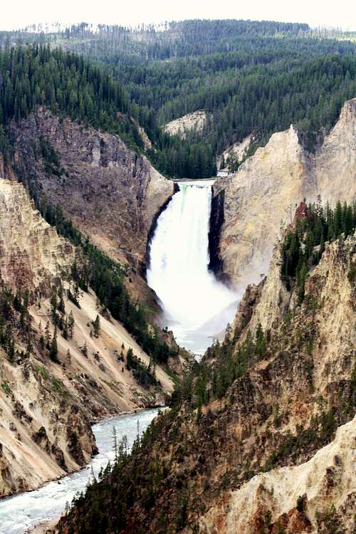       Yellowstone Falls