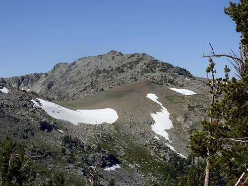 View of Peak 9795 and the ridge connecting it to Fourth of July Peak