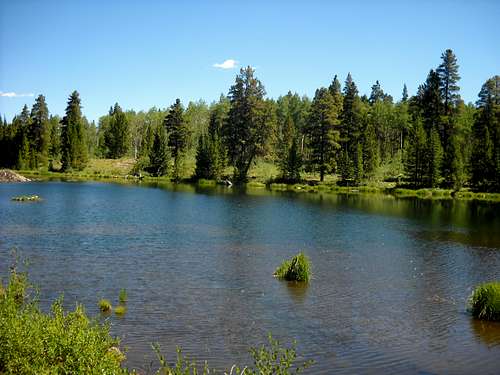 Pond by South Elbert Trail
