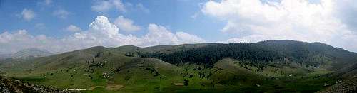 Grusacko polje. August, 2004