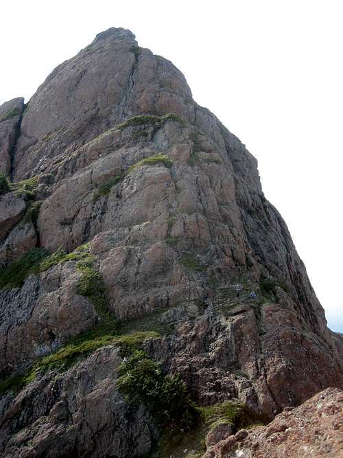 Mt Grattan East Ridge