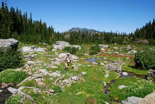 Martins Park - lower meadow