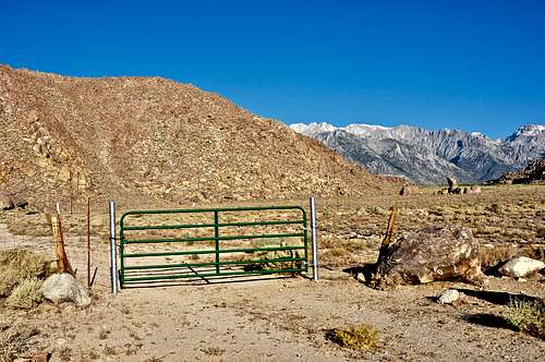 Locked gate and cattle fence