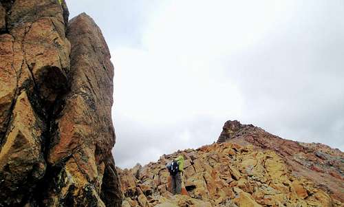 Mary's Peak Summit... Yes!!!