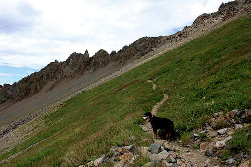 Duchess hiking towards Blue Lake Pass