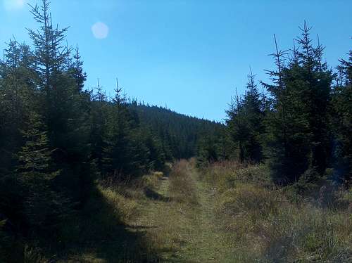 Final trail to Medvědí Vrch