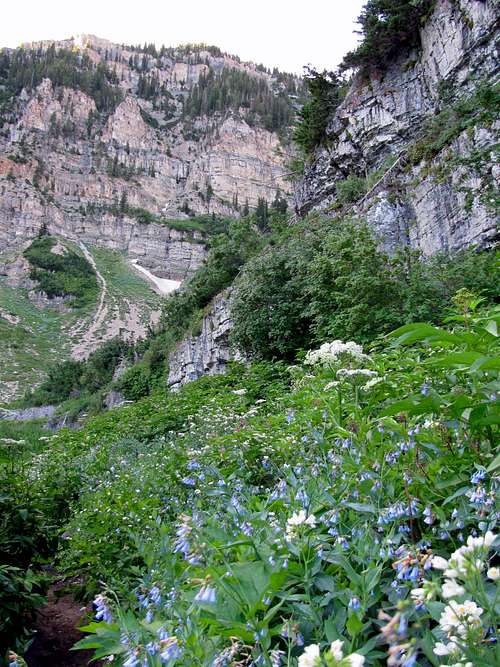 Timpooneke cliffs