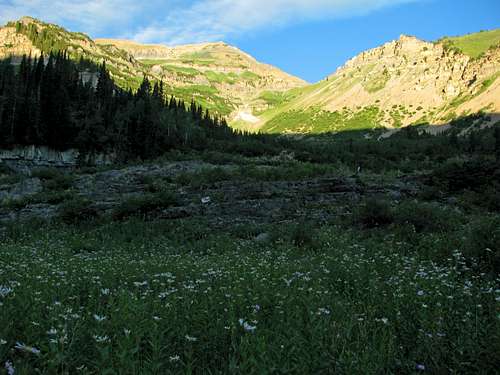 Sunlight above meadows