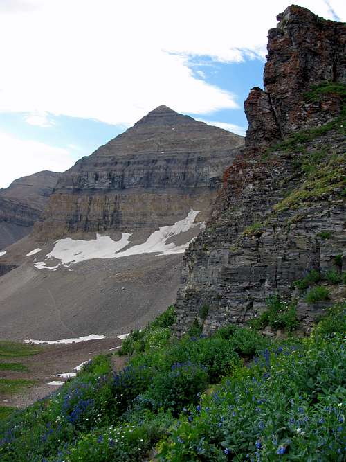 Timp from below ridge