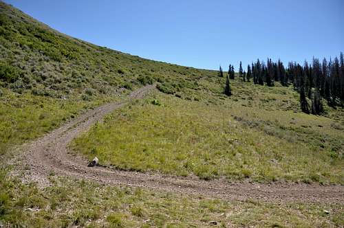 ATV trail gaining ridge