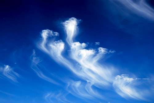 Jelly-fish shaped clouds in the sea of sky