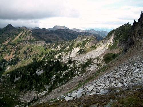 The scree field 