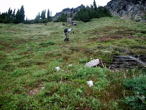 Don heading up the heather