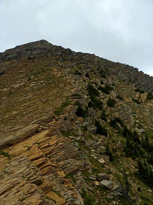 Summit Ridgeline