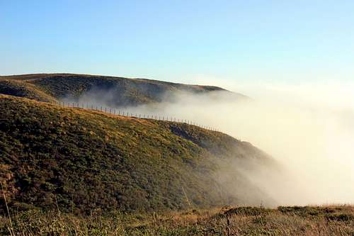 Coastal fog from the hills