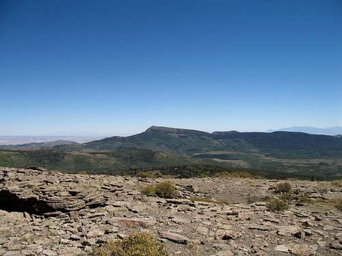 Mt. Hilgard to the east