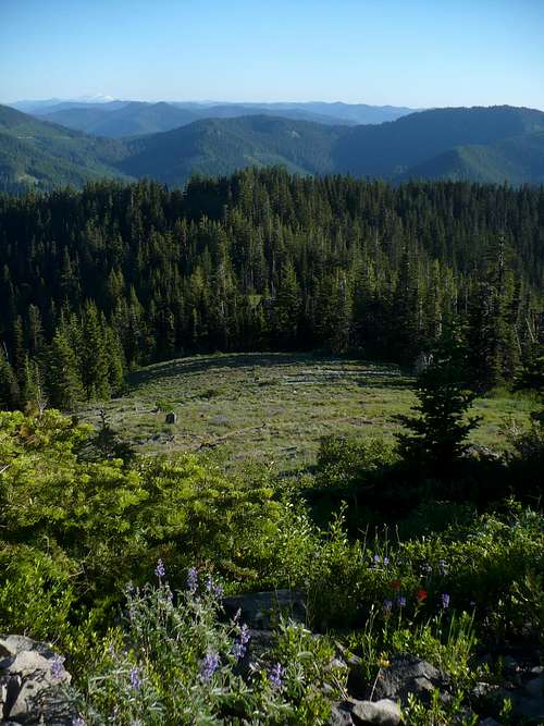 Horsepasture Mountain Meadow