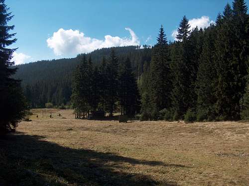 Meadow near Obří důl