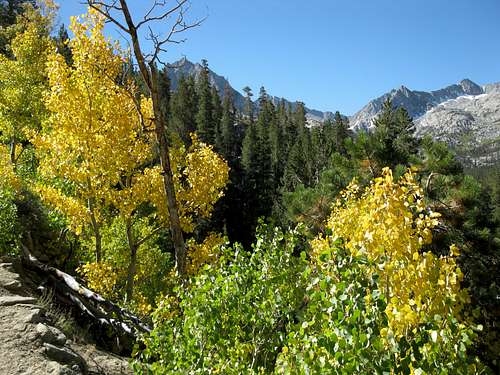 Bishop Creek Canyon