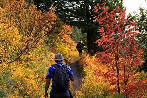 Hiking through the start of Utah's Fall Colors