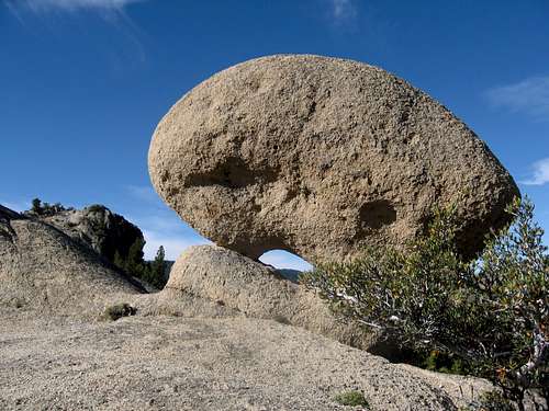  Potato Head rock 