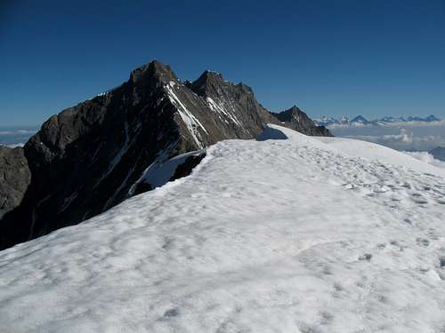 view from the top towards Täschhorn, Dom and Lenzspitze