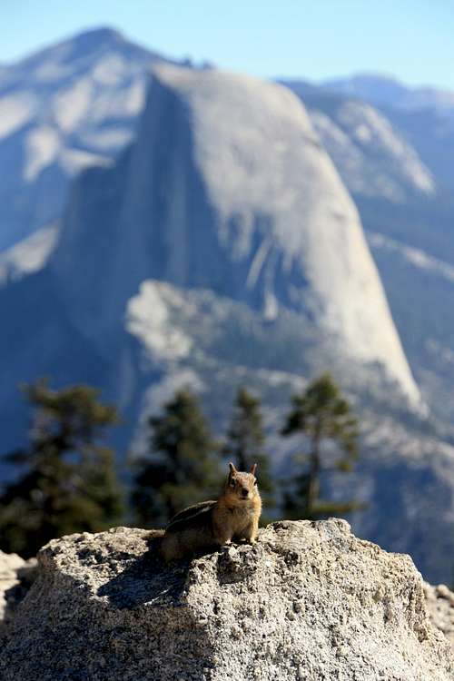 A poser on Sentinel Dome
