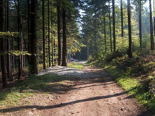 Trail on Studniční Vrch