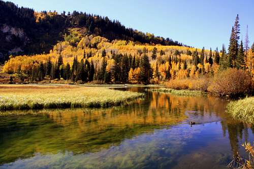 Fall colors at Silver Lake