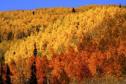 Beautiful Utah 2010 Fall Colors