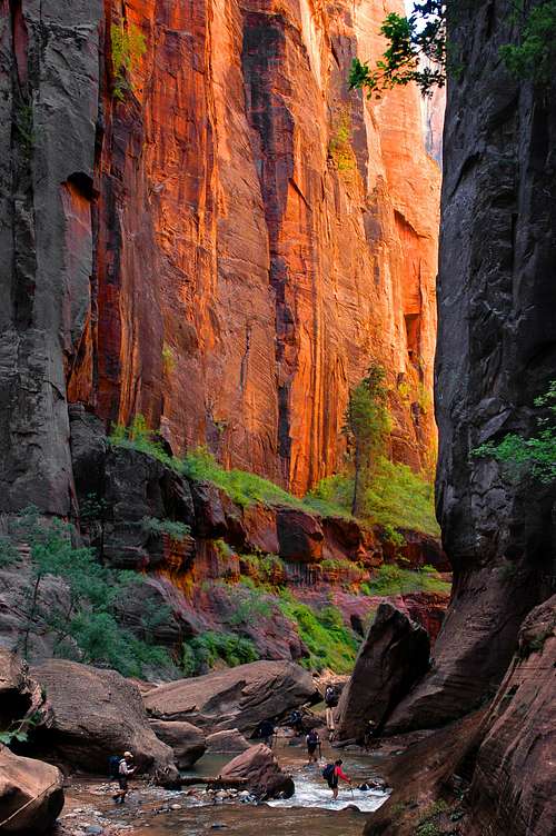 Black Gates of the Virgin