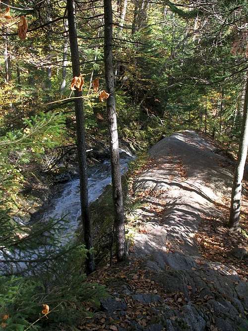 Beaver Brook