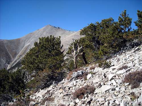 Mt. Antero - East Ridge via Raspberry Gulch