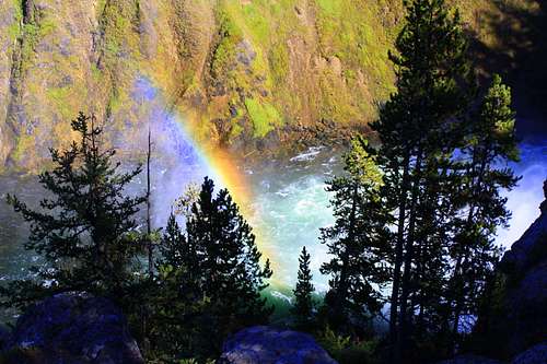 A Canyon of Color in Yellowstone National Park
