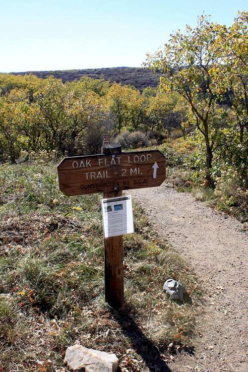 Start of the trail