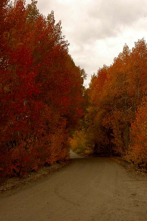 Fall colors at road North Lake