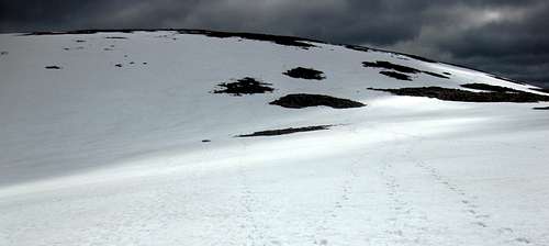 The Cairngorm plateau