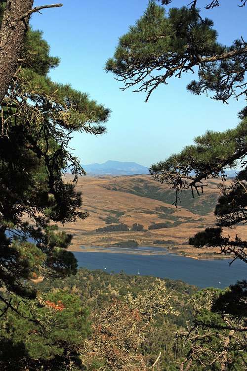 Across Tomales Bay