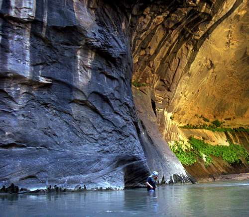 The Beautiful Zion Narrows