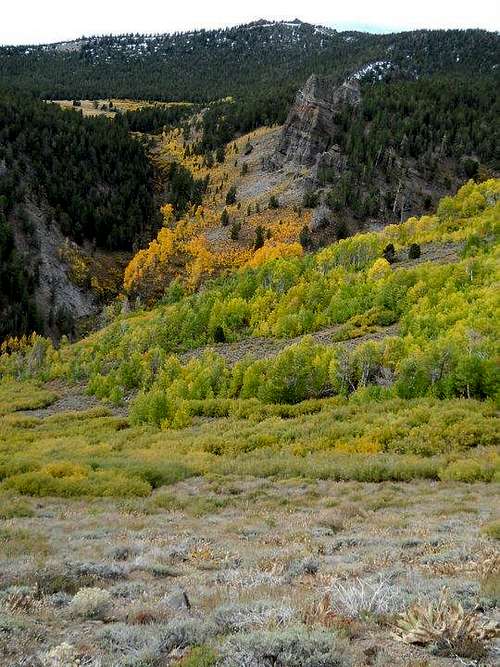 View down the Thomas Creek Canyon. Fall colors in bloom.