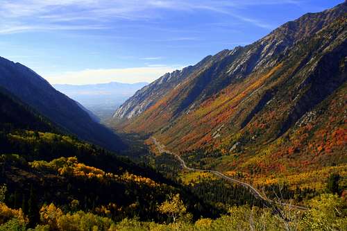 Wasatch Fall Colors 2010