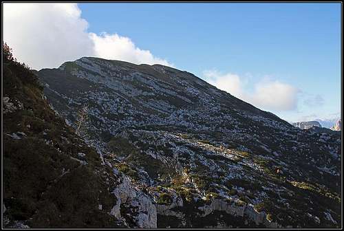 Monte Raut summit ridge from Forcella Capra