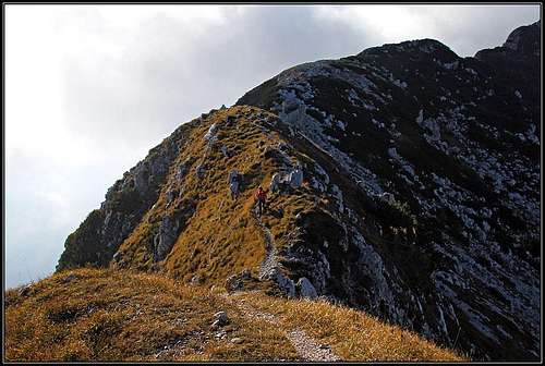 Monte Raut South Ascent