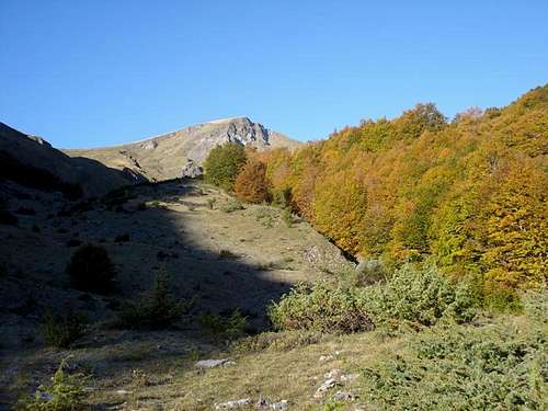Visoko Brdo peak