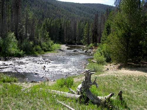 Creek near Monarch Lake