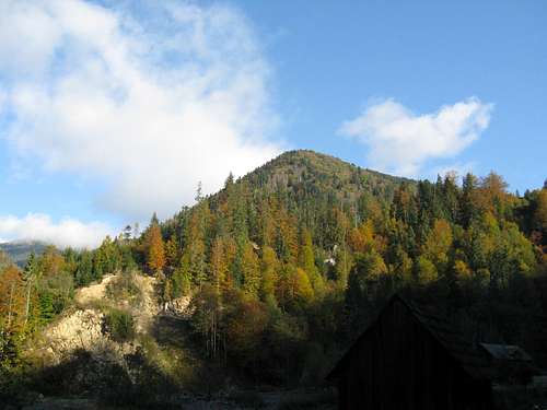 Sunny morning in the valley of the Vaser